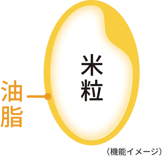 米粒と油脂のコーティングイメージ