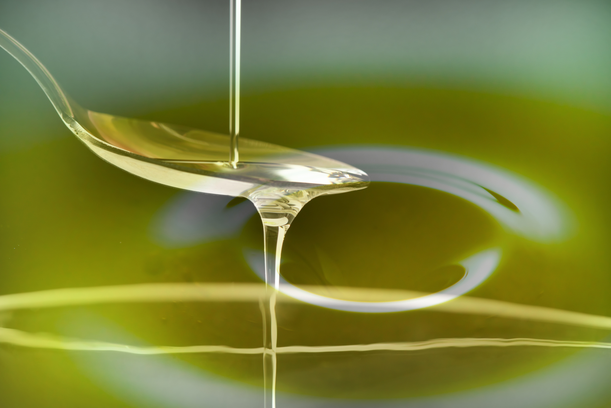 財政および保険の援助